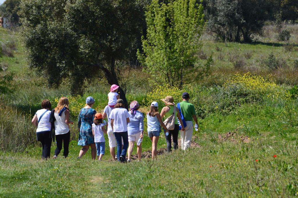 Monte Chalaca - Turismo Rural Ferreira Do Alentejo Buitenkant foto